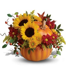 Pretty Pumpkin Bouquet from Carl Johnsen Florist in Beaumont, TX